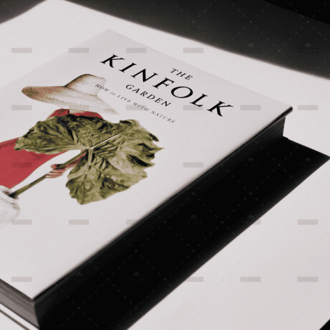 demo-attachment-1008-jocelyn-morales-F6ui3ZRaiWk-unsplash-1